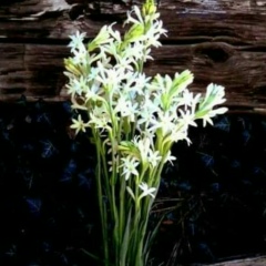 ေဒၚသ ႏၲာ, 06.04.2004