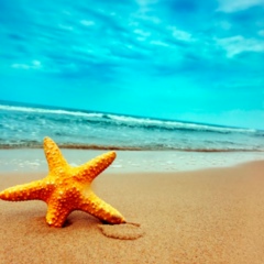 Любовь Соболева, 10.01, Санкт-Петербург