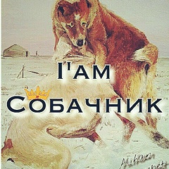 Жалгас Ондикенов, 05.06, Кульсары