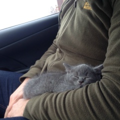 Турко Катаев, 22.07, Сочи