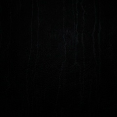 Александра Тарибо, Минск