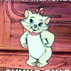 Диана Садыкова, 24.01.1997, Москва