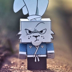 Ксения Кличова