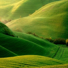 Оксана Иванова, 05.05.1980, Петрозаводск