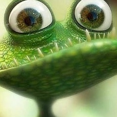 Андрей Бахвалов, 26.10.1985, Санкт-Петербург