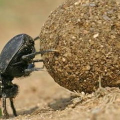 Давид Давидов, 05.10, Санкт-Петербург