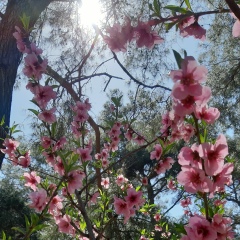 Гульсина Гафарова, 20.12, Казань