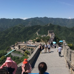 Perizat Shaizhanova, 11.11