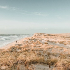 Сергей Гридин, 14.09.1988, Ставрополь