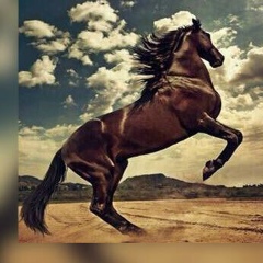 Болатбек Беккулов, 01.01, Алматы