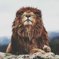 Арман Абдолов, 17.03.1997, Атырау