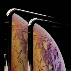 Сергей Яблоков, Киров