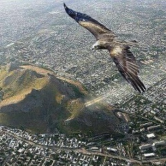 Эрлан Айткулов, 12.03.1986