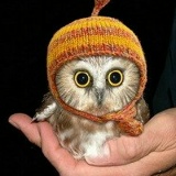 Дарья Суркова, 15.11.1950, Москва