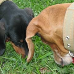 Юлия Ковалёва-Куликова, 19.02.1987, Москва