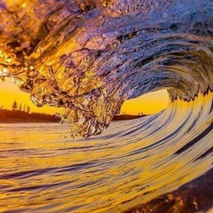 Дмитрий Петров, 16.04.1977