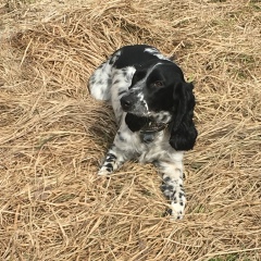 Ярик Белянский, 08.07.1987, Москва