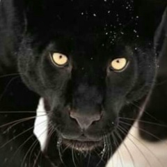 Светлана Красникова, 27.05.1977, Черноголовка