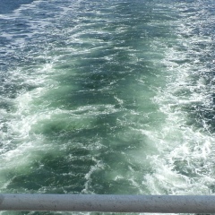 Валентин Михов, 01.02.1991