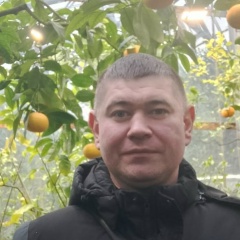 Михаил Медведев, Санкт-Петербург