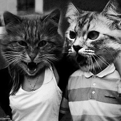 Ангелина Самарцева, 03.01, Новочебоксарск