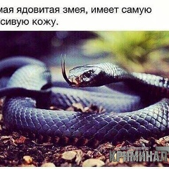 Асадбек Рузакулов, Грозный