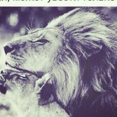 Асхаб Нашхо, 25.11.1989