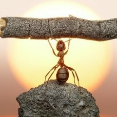 Вениамин Суслов, 06.07, Сочи