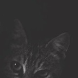 Александр Сматраков