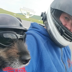 Странный Случай