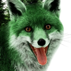 Идрис Шигапов, 14.02