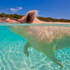 Алексей Беляев, 01.08, Москва