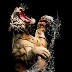 Александр Кудряшев, 18.02.1974, Санкт-Петербург