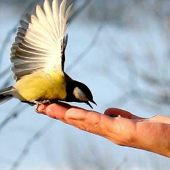 Юлия Зуева, 12.02.1971