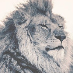 Эдгар Сантросян, 24.01.1986, Тверь