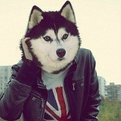 Seko Mamedov, 01.07.1995, Гянджа