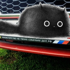 Маргарита Гребёнкина, 20.07, Борисоглебск