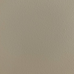 Максим-И-Анна Дехтярёвы, Санкт-Петербург