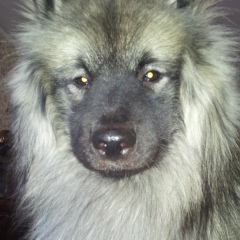 Виктор Крутов, 17.06.1989, Москва