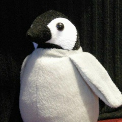 Станіслав Унгурян, 26.08