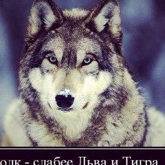 Ерсултан Елемесов, 21.09, Алматы