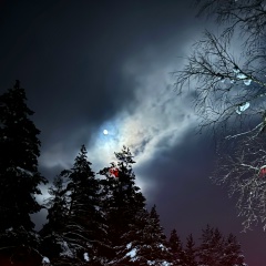 Алексей Субботин, 30.11.1994, Сасово