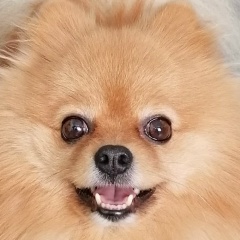 Павел Захаров, Калуга