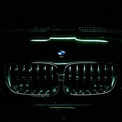 Дмитрий Волков, 12.07.1984, Белая Церковь