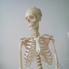 Алибм Серикбай, 27.07.2001, Жезказган