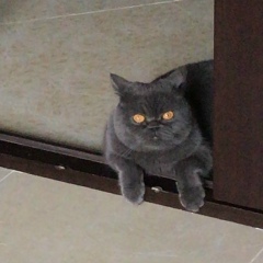 Зарема Хатуева, 02.01.1995, Грозный