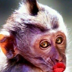 Аня Селиванова, 01.01, Владивосток