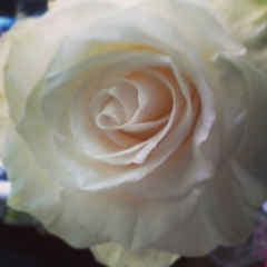 Тая Потапова, 22.11, Санкт-Петербург