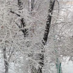 Камбар Кадырбаев, 29.12, Жанаозен