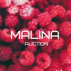 Екатерина Грин, Мелитополь